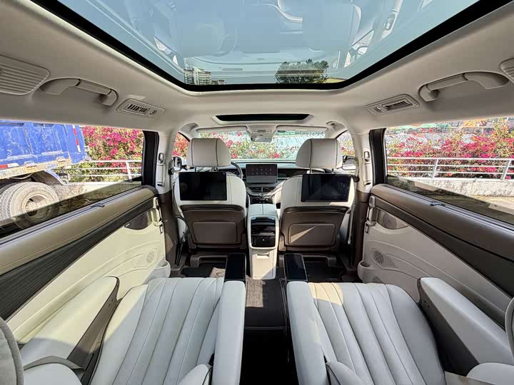 Фото 14 - Denza D9