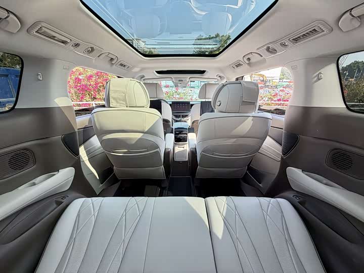 Фото 15 - Denza D9