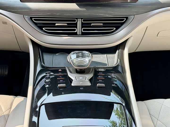 Фото 18 - Denza D9