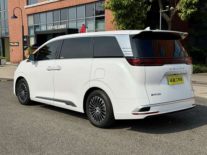 Фото 3 - Denza D9