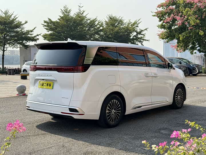 Фото 5 - Denza D9