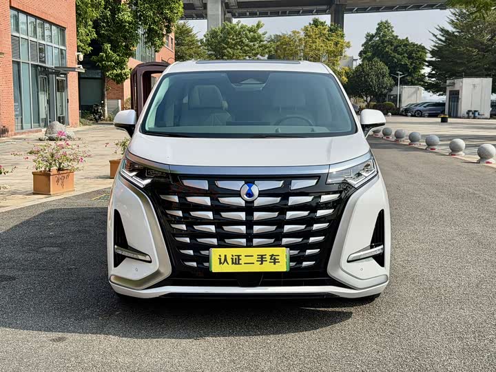 Фото 8 - Denza D9