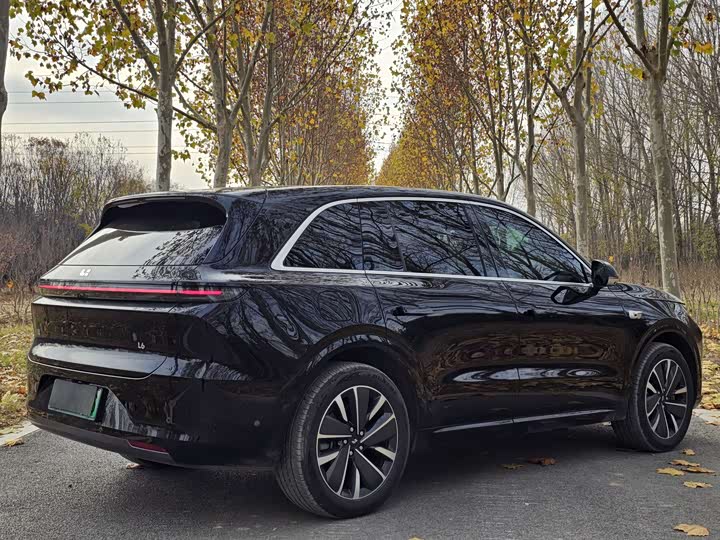 Фото 6 - LiXiang L6