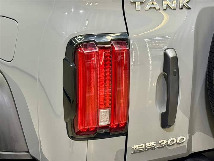 Фото 10 - Tank 300