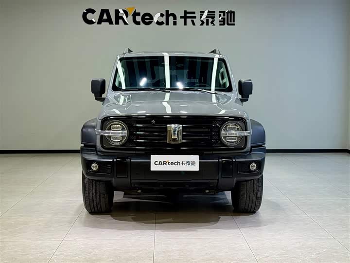 Фото 3 - Tank 300