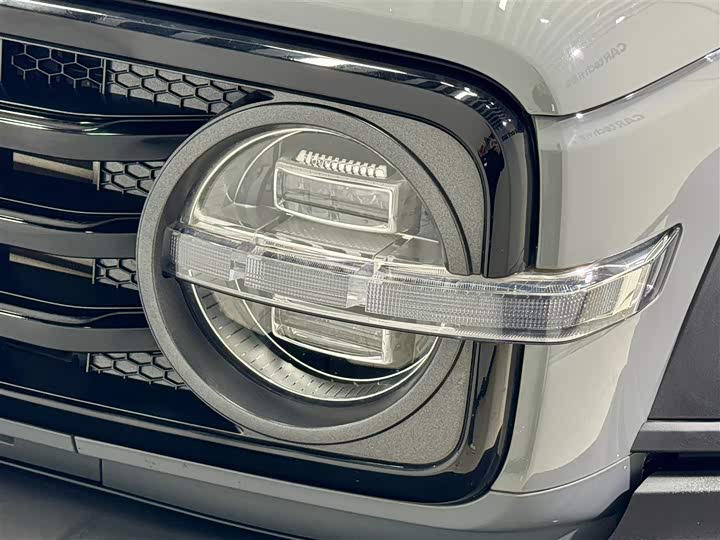 Фото 9 - Tank 300