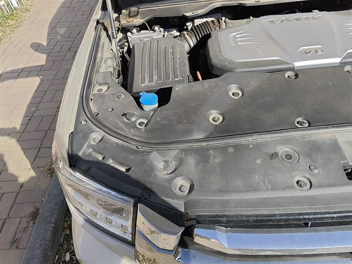 Фото 21 - Tank 500