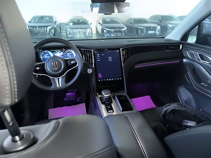 Фото 10 - Hongqi HS7 Hybrid