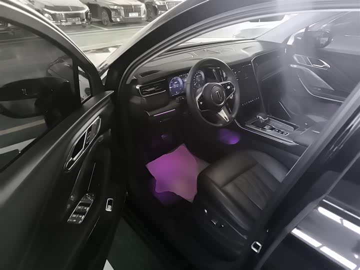 Фото 16 - Hongqi HS7 Hybrid