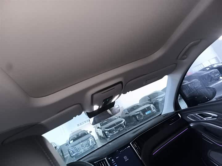 Фото 18 - Hongqi HS7 Hybrid