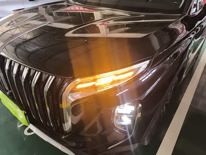 Фото 24 - Hongqi HS7 Hybrid