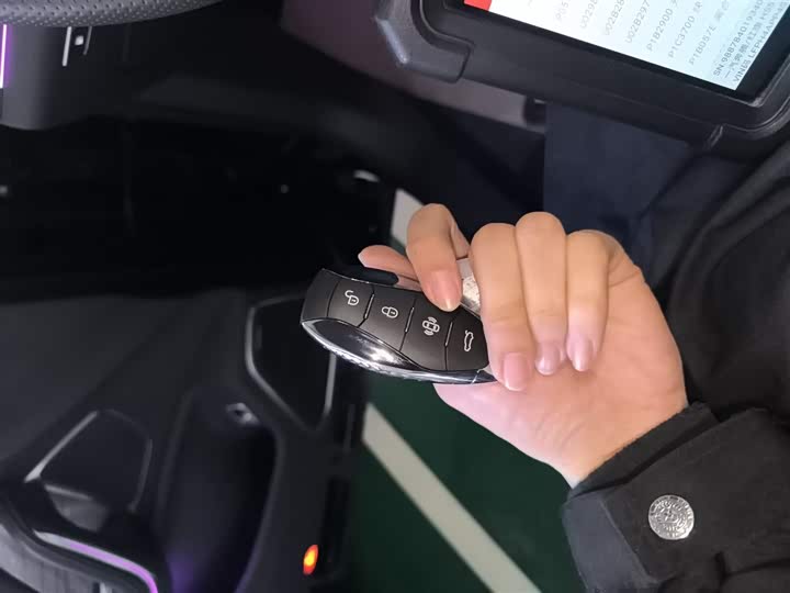 Фото 9 - Hongqi HS7 Hybrid