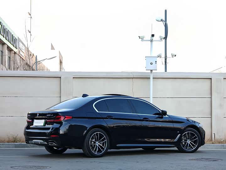 Фото 4 - BMW 5 Series Hybrid