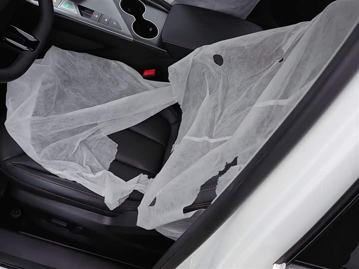 Фото 15 - Roewe RX5 Hybrid