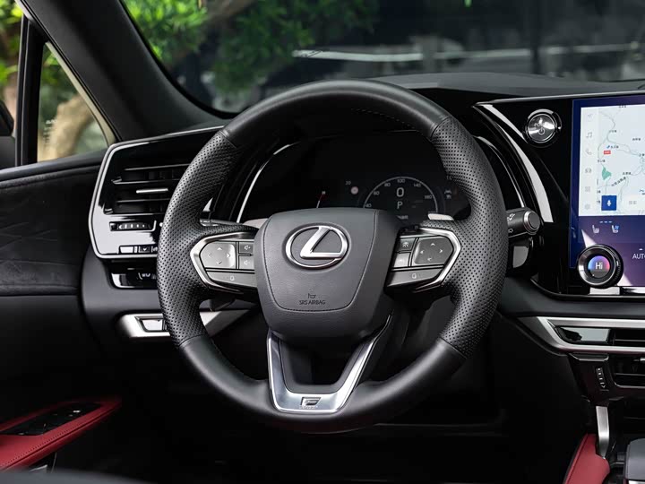 Фото 14 - Lexus RX