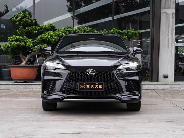 Фото 2 - Lexus RX