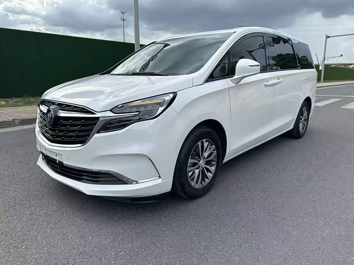 Фото 1 - Buick GL8 ES