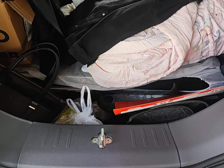 Фото 4 - Geely Galaxy Panda Mini