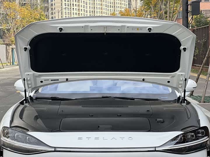 Фото 27 - Stelato S9