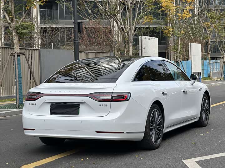 Фото 7 - Stelato S9