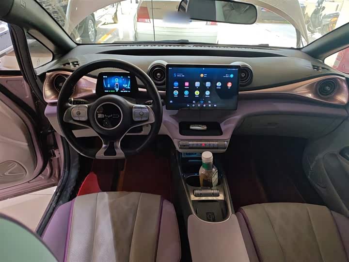 Фото 10 - BYD Dolphin