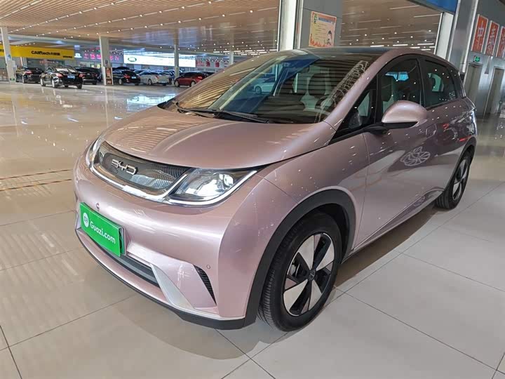 Фото 2 - BYD Dolphin