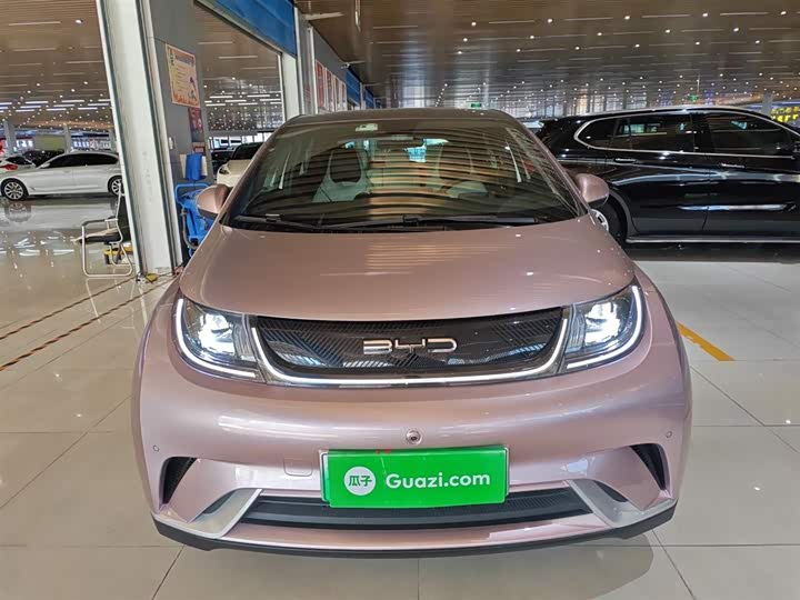 Фото 3 - BYD Dolphin