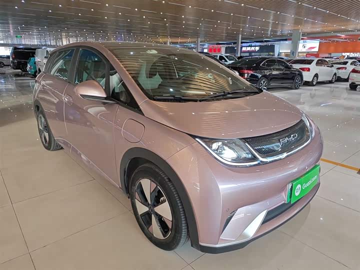 Фото 4 - BYD Dolphin