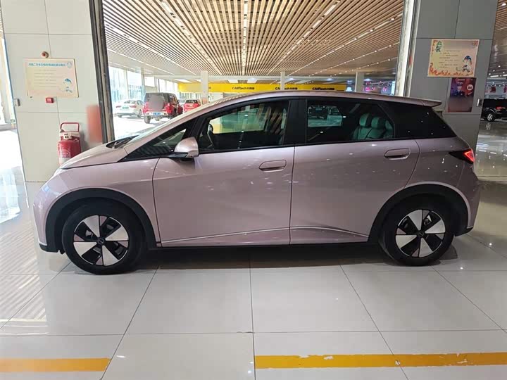 Фото 5 - BYD Dolphin