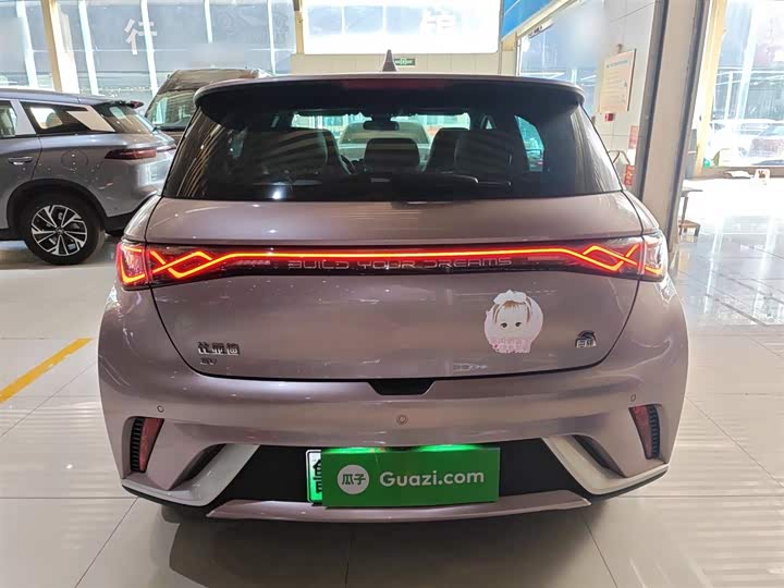 Фото 6 - BYD Dolphin