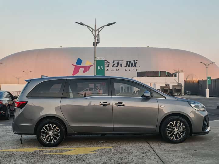 Фото 4 - Buick GL8 ES