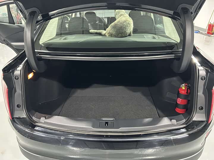 Фото 10 - Hongqi E-QM5