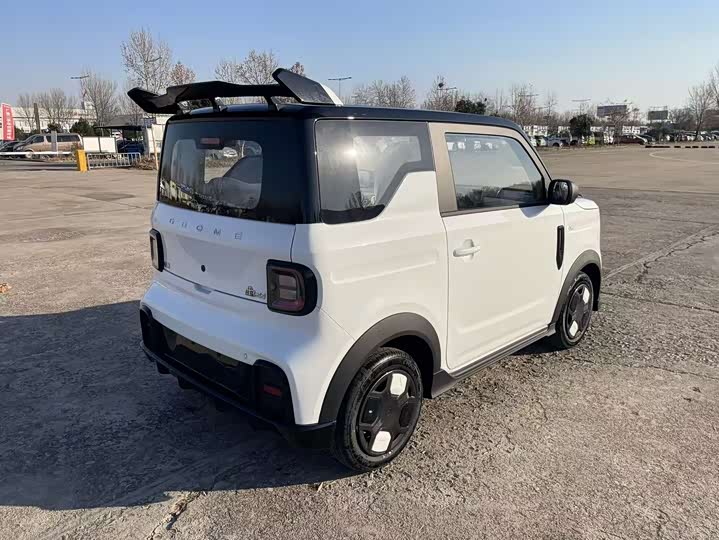 Фото 4 - Geely Galaxy Panda Mini
