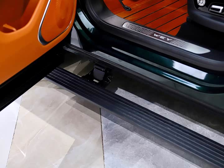 Фото 23 - Wey Lanshan