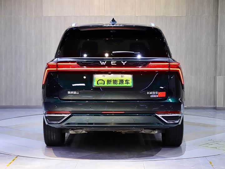 Фото 6 - Wey Lanshan