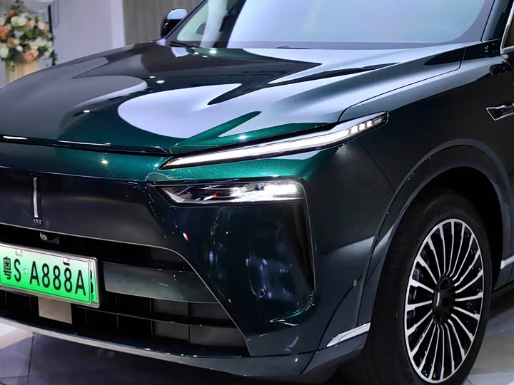 Фото 9 - Wey Lanshan