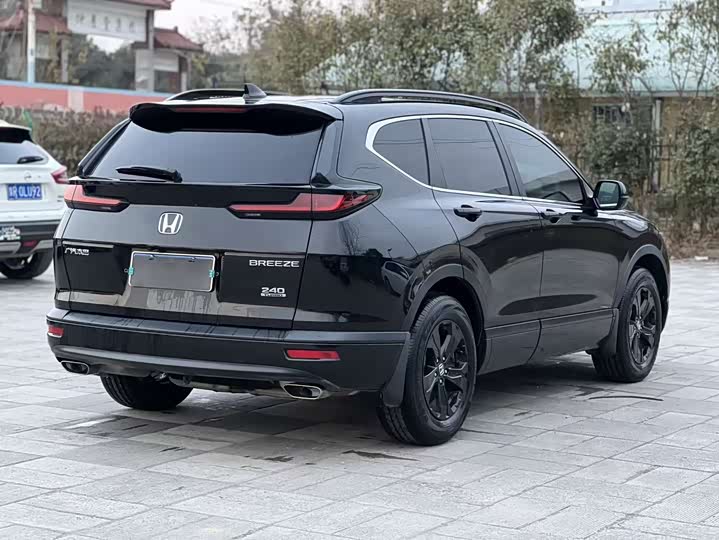 Фото 5 - Honda Breeze