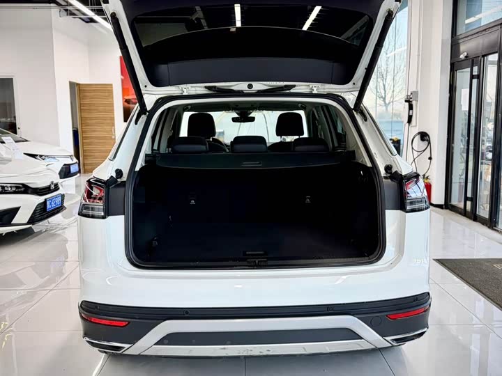 Фото 19 - Volkswagen Tayron