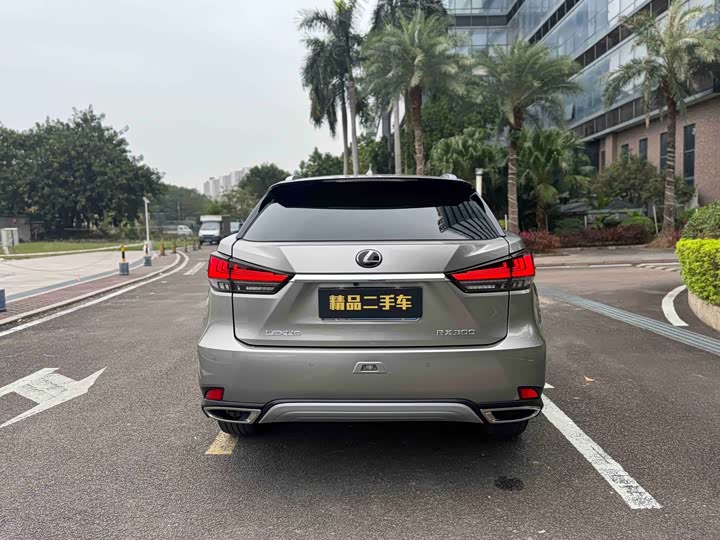 Фото 18 - Lexus RX