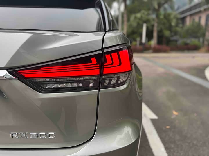 Фото 25 - Lexus RX