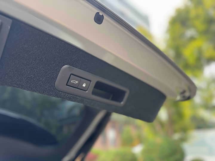 Фото 27 - Lexus RX