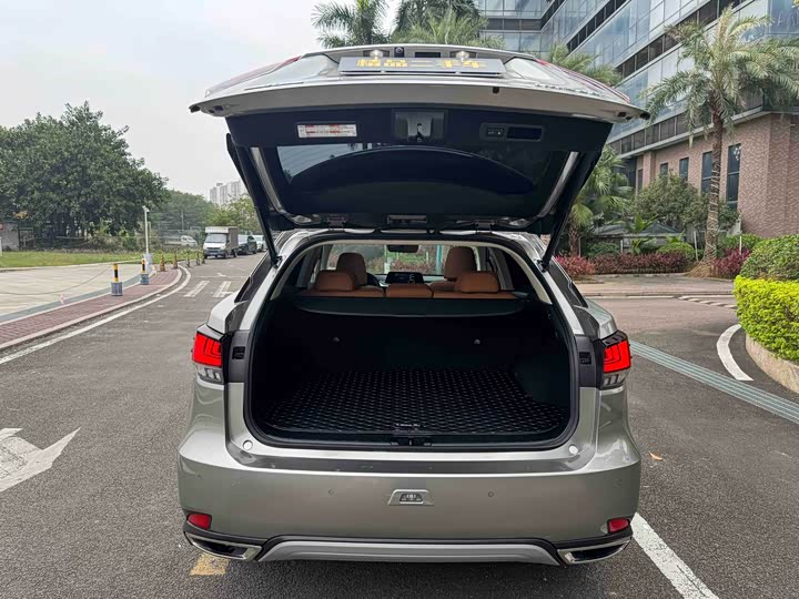 Фото 28 - Lexus RX