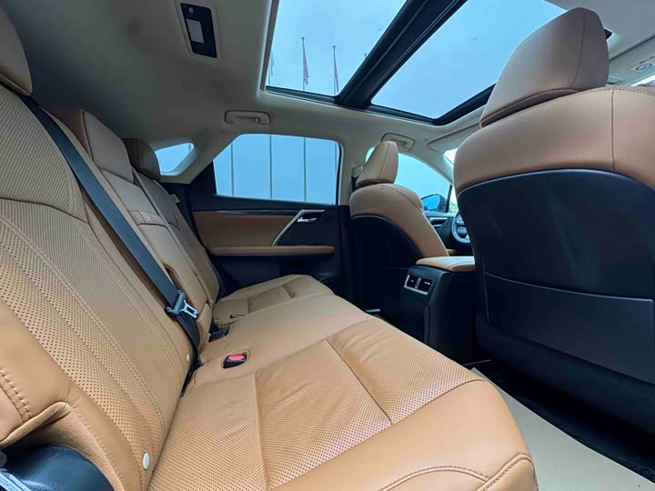 Фото 7 - Lexus RX