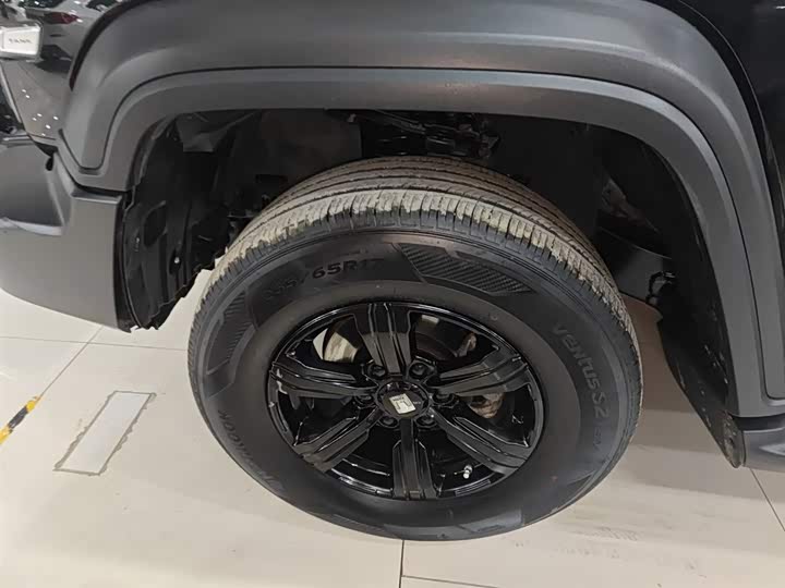 Фото 23 - Tank 300