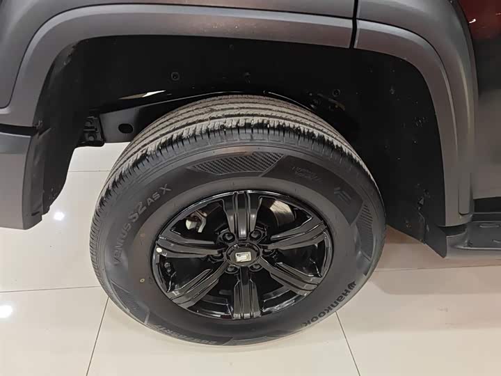 Фото 26 - Tank 300