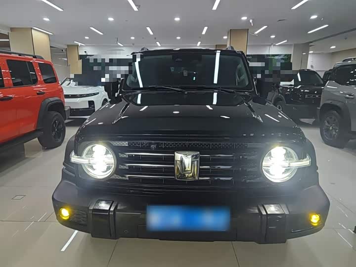 Фото 3 - Tank 300