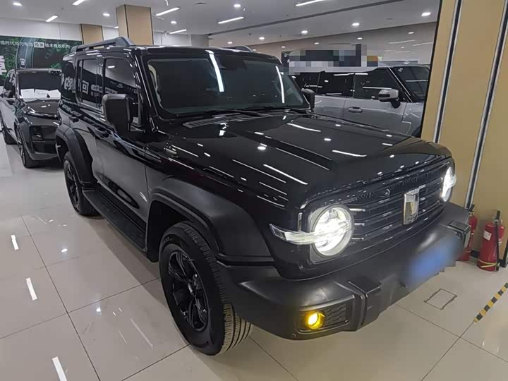 Фото 4 - Tank 300