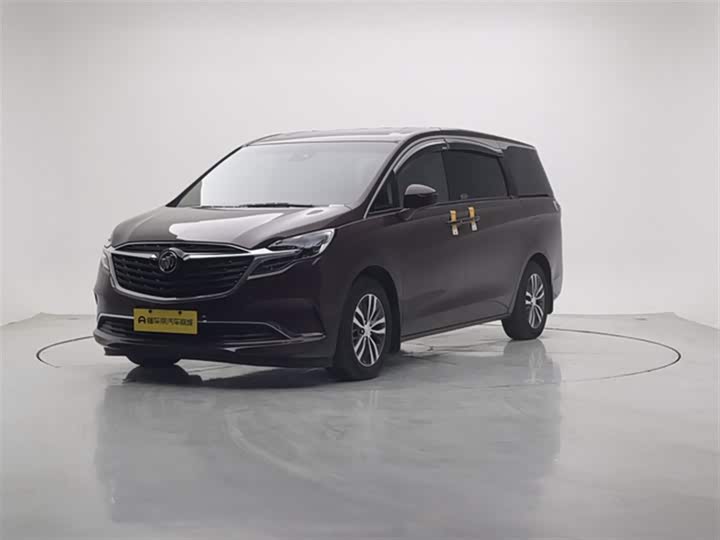 Фото 1 - Buick GL8 ES