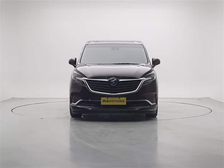 Фото 3 - Buick GL8 ES