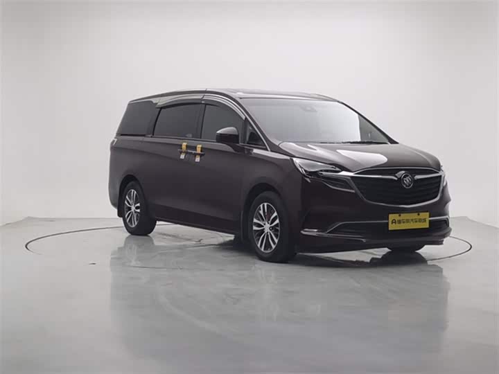 Фото 4 - Buick GL8 ES